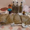 زیتون بدون هسته و روغن زیتون
