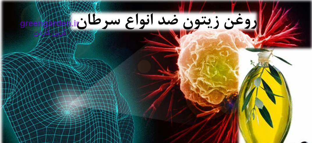 9 دلیل خوب برای مصرف بیشتر روغن زیتون