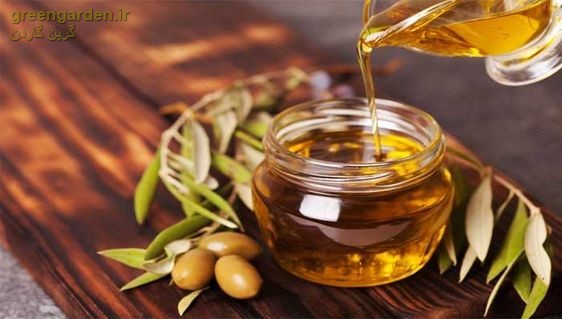 انواع ماسک مو خانگی روغن زیتون