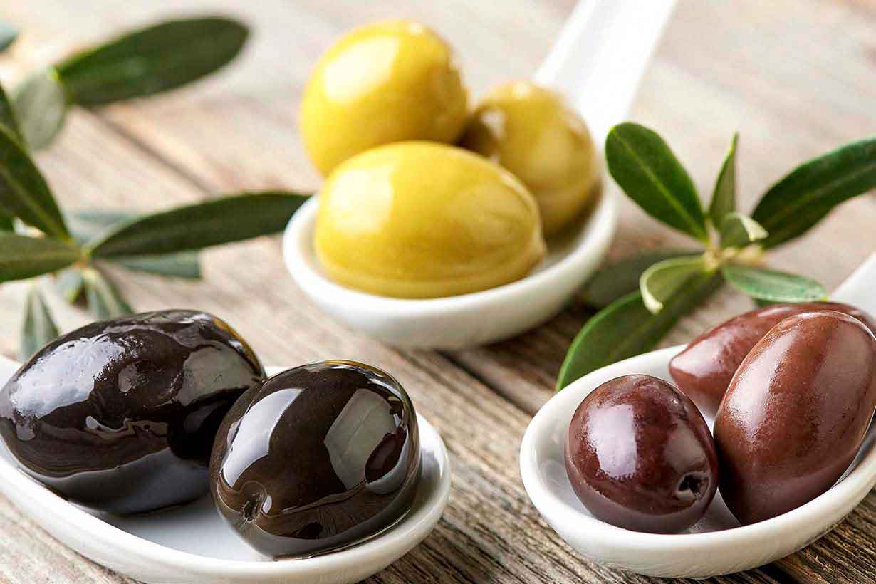 آشنایی با اقسام زیتون در دنیا