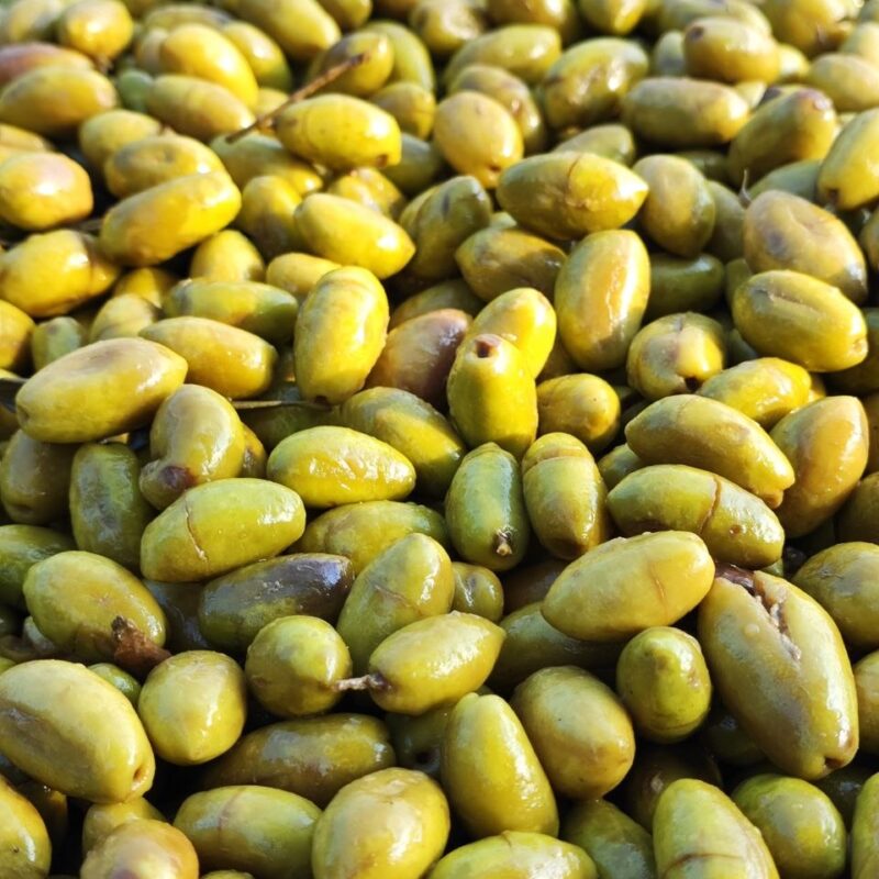 ززیتون ماری