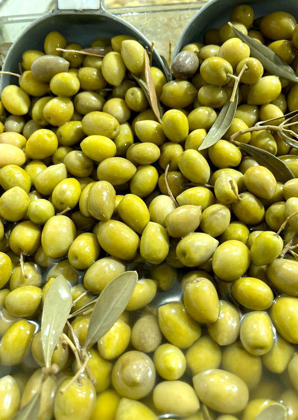 زیتون کجا معروفه